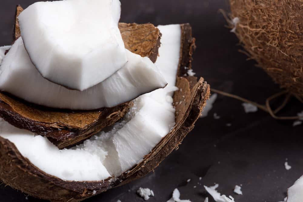 COCONUT 101 – EVERYTHING YOU NEED TO KNOW